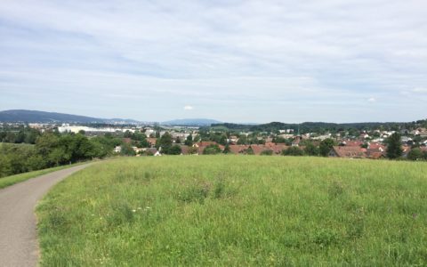 Blick vom Homberg